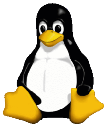 Linux 2.6